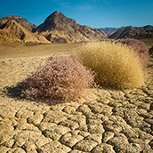 Dried earth Badwater Road near Golden Canyon in Death Valley National Park, CA.  National Park Photograpy by Alex Wilson.