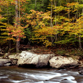 Williams River in Webster County, West Virginia.  Landscape Photograpy by Alex Wilson