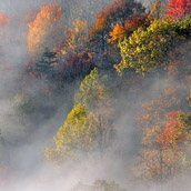 Morning fog blanketing the trees in Sutton, West Virginia.  Landscape Photograpy by Alex Wilson.